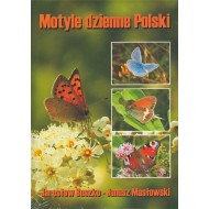 Buszko J., Masłowski J., 2008: Motyle dzienne Polski (Lepidoptera: Hesperioidea, Papiliondidea)