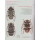 Adlbauer K., Beck R., 2015: Katalog und Fotoatlas der Bockkäfer Äthiopiens (Coleoptera, Cerambycidae)