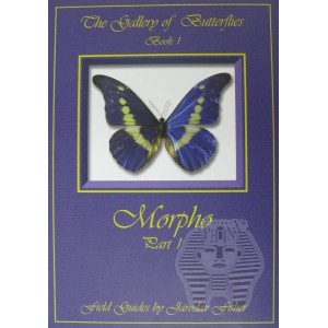 https://www.entosphinx.cz/113-651-thickbox/-fisher-j-2009-the-gallery-of-butterflies-book-l-morpho-part-l-88-pp.jpg