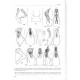 Pace R., 2015: Memoirs on Biodiversity - Biodiversity of South America. II, Coleoptera, Staphylinidae, Aleocharinae