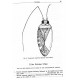 Gorczyca J., 2000: A systematic study on Cylapinae with a revision of the Afrotropical Region (Heteroptera, Miridae). 174 pp.