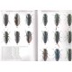 Bílý S., 2015: A revision of the Anhaxia (Haplanthaxia) aeneocuprea species-group (Coleoptera: Buprestidae: Anthaxiini)