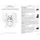 Chatenet G., 2002: Coléoptères Phytophages d'Europe Chrysomelidae, Vol. 2: Chrysomelidae