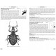 Chatenet G., 2014: Phytophagous Beetles of Europe, Vol. 3: Anthribidae, Bruchidae, Curculionidae Entiminae
