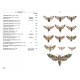Leraut P., 2006: Moths of Europe, Vol. 1: Saturnids, Lasiocampids, Hawkmoths, Tiger Moths, ...