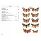 Leraut P., 2006: Moths of Europe, Vol. 1: Saturnids, Lasiocampids, Hawkmoths, Tiger Moths, ...