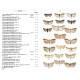 Leraut P., 2014: Moths of Europe, Vol. 4: Pyralids 2