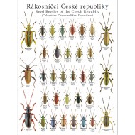 PL03 - Rákosníčci České republiky (Coleoptera: Chrysomelidae: Donaciinae)