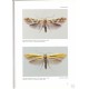 Křenek V., 2000: Small Moths of Europe