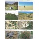 Kocman S., 2009: Parnassius of Tibet and the Adjacent Areas