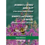 Paolucci P., 2016: Bombyces and Sphinges of the Alps and their Larvae, Pupae and Cocoons