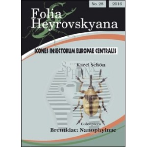 https://www.entosphinx.cz/1310-4197-thickbox/schon-k-2016-brentidae-nanophyinae-20-pp-folia-heyrovskyana-27.jpg