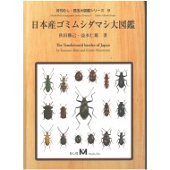 Akita K., Masumoto K., 2016: The Tenebrionid beetles of Japan