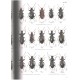 Akita K., Masumoto K., 2016: The Tenebrionid beetles of Japan