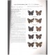 Kimura Y., Aoki T., Yamaguchi S., Uémra Y., Saito T., 2016: The Butterflies of Thailand, Vol. 3: Nymphalidae