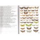 Nowacki J., 2009: The Noctuids (Lepidoptera, Noctuidae) of Central Europe