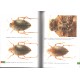 Boukal M., 2017: Beetles of the family Haliplidae 