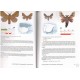 Peréz de-Gregorio J. J., Muňoz J. & Rondóz M., 2001: Atlas fotográfico de los lepidópteros macroheteróceros íbero-baleares 2.