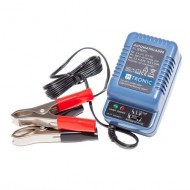 38.61 - Chargeur pour accumulateurs AL300 Pro AKA 2/6/12V