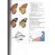 Bozano G. C., Coutsis J., Heřman P., Allegrucci G., 2016: Guide to the Butterflies of the Palearctic Region: Pieridae, Part 3