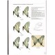  Racheli T., Cotton A. M., 2009: Guide to the Butterflies of the Palearctic Region: Papilionidae, part 1 
