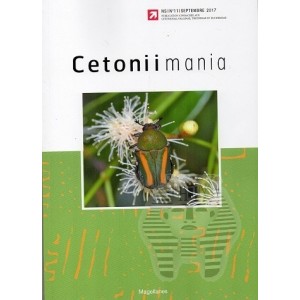 https://www.entosphinx.cz/1383-4469-thickbox/jakl-s-2017-cetoniimania-no-11.jpg