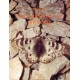 WEISS J.C. 1992: THE PARNASSINAE OF THE WORLD, PART 2