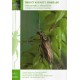 MLEJNEK R., 2018: BROUČÍ KLENOTY MOKŘADŮ. NOVÉ POZNATKY O RÁKOSNÍČCÍCH (COLEOPTERA: CHRYSOMELIDAE: DONACIINAE), 2