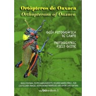 Fontana P., Buzetti F. M., : Ortópteros de Oaxaca