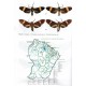 Cerda J.A., 2017: Ctenuchina de Guyane francaise Lepidoptera, Erebidae, Arctiinae, Arctiini (partie 1)