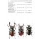 Král D., Bezděk A.,Juřena D.: (Coleoptera Scarabaeoidea - Geotrupidae, Trogidae, Glaresidae, Lucanidae