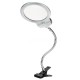 32.61 - Small Desktop Magnifying Glass with Lighting