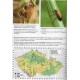 Mlejnek R., 2019: Broučí klenoty mokřadů (Coleoptera: Chrysomelidae, Donaciinae), sešit 3