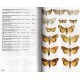 Leraut P., 2019:Moths of Europe, vol. 6, Noctuids 2