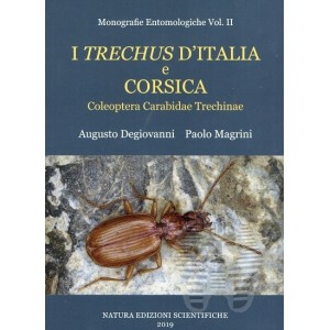 https://www.entosphinx.cz/1498-4998-thickbox/degiovanni-a-magrini-p-2019-i-trechus-ditalia-e-corsica-vol-ii.jpg