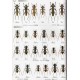 Fujita H., Hirayama H., Akita K., 2018: The Longhorn Beetles of Japan, I.