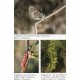 Toropov S. A.,  2015: The Butterflies of Eastern Turan, Tarbagatai, Sour and South-Western Altai, vol. 2