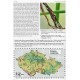 Mlejnek R., 2020: Broučí klenoty mokřadů, nové poznatky o rákosníčcích (Coleoptera: Chrysomelidae: Donaciinae), sešit 4