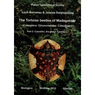 Borowiec Tortoise Madagascar