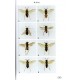 Lacourt J., 2020: Sawflies of Europe, Hymenoptera of Europe 2