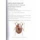 Jiroux E., 2021: Faune des Coléoptéres de Corse, Histeridae, Silphidae