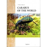 Thierry Deuve:  Carabus of the World, 30 Collection systematique