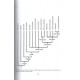 Thierry Deuve:  Carabus of the World, 30 Collection systematique