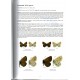 Bálint: Guide to the Butterflies of the Palearctic region, Lycanidae part V