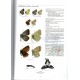 Bálint: Guide to the Butterflies of the Palearctic region, Lycanidae part V