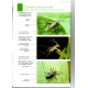 Mlejnek R., 2022: Broučí klenoty mokřadů, (Coleoptera: Chrysomelidae: Domaciinae) Sešit 6