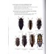 Jiroux E., 2022: Faune des Coléoptéres de Corse, vol. 5, Buprestidae