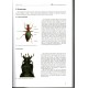 Peeters I., 2022: The Genus Carabus in Belgium (Coleoptera: Carabidae)