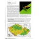 Mlejnek R., 2023: Nové poznatky o rákosníčcích (Chrysomelidae: Domaciinae), sešit 7