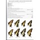 Nazari : Guide to the Butterflies